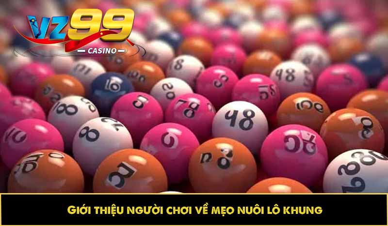 Giới thiệu người chơi về mẹo nuôi lô khung